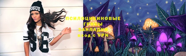 ГАЛЛЮЦИНОГЕННЫЕ ГРИБЫ Россошь