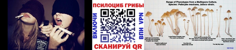 Псилоцибиновые грибы прущие грибы  Купить закладки  Шахунья 